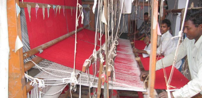 Natural Fiber Area Rugs