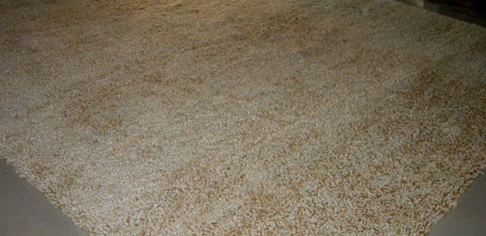 Hand Tufted Area Rugs